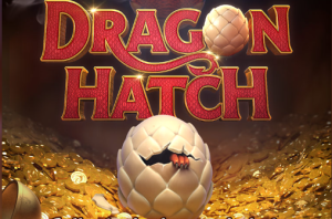 Dragon Hatch插图6